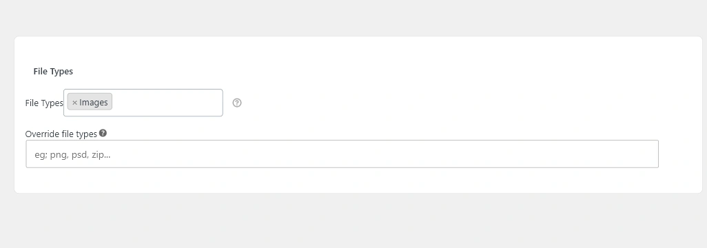 Advanced Files Uploader product tab File Types section showing preset selector and override field